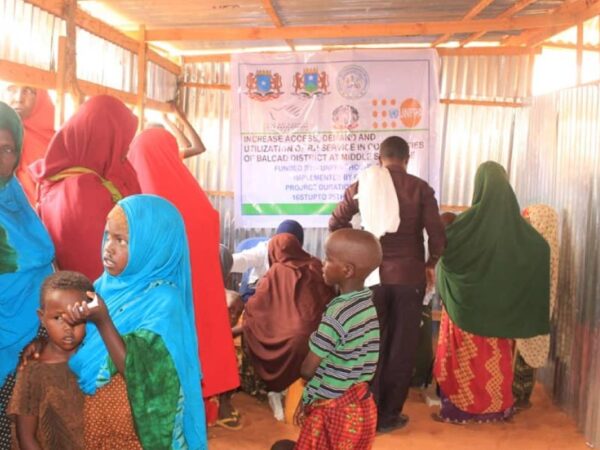 Building Resilience for the Future: PHASE’s Vision and Strategic Growth