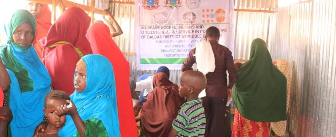 News-&-articles-four